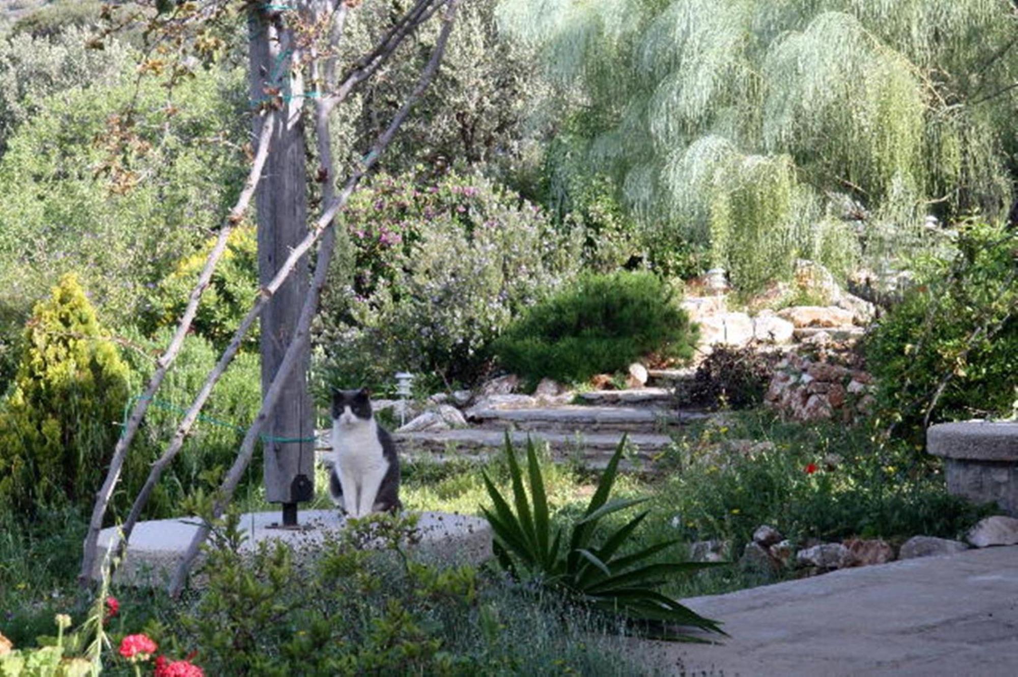 To The Garden Guest House Angairiá Exterior foto