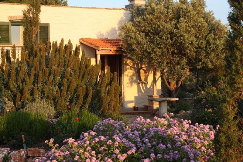 To The Garden Guest House Angairiá Exterior foto